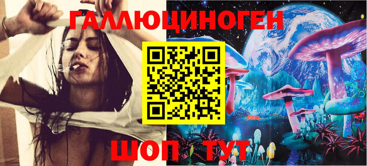 Галлюциногенные грибы Psilocybe Каменка
