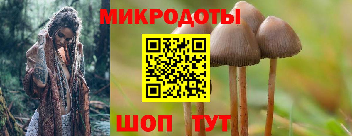 Каменка  Галлюциногенные грибы MAGIC MUSHROOMS  Вход с VPN 